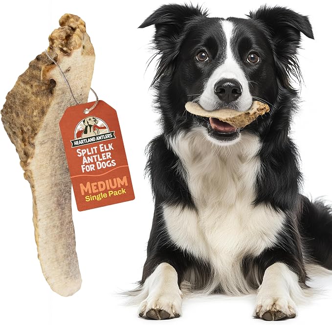 Heartland Elk Antlers for Dogs - Daily Dental Care Chews for Aggressive Chewers to Reduce Plaque & Prevent Destructive Behavior (Splinter Free, Split, 5", Medium, 1-Pack, Grade A, USA Made)