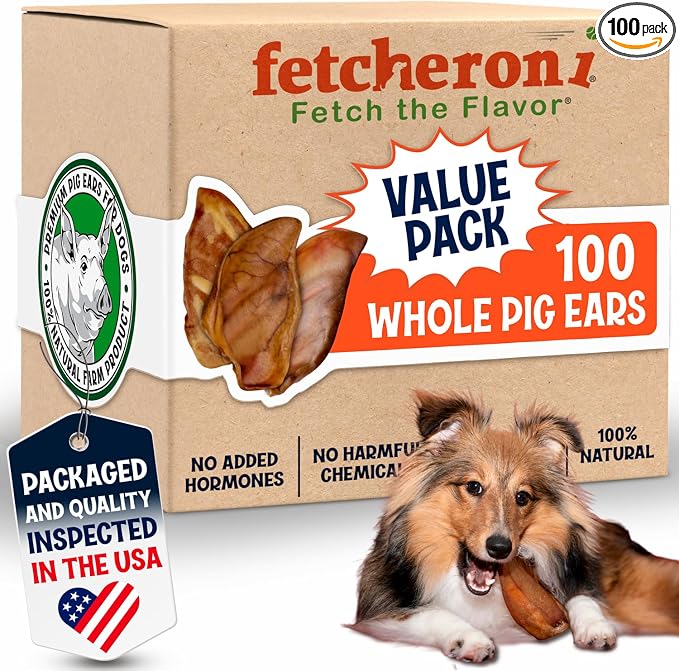 FETCHERONI Whole Pig Ears for Dogs Large - 100 Pack Long Lasting Dog Chews - One Ingredient Delicious All Natural Flavor – Easy to Digest Dog Treat for Large Dogs - Great for Teeth and Gums