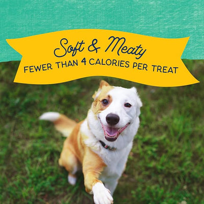 Natural Balance Limited Ingredient Mini-Rewards Chicken Grain-Free, Training Treats for Dogs | 5.3-oz. Canister