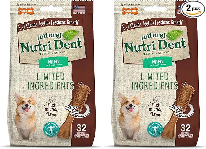 Nutri Dent Dog Dental Chews - Natural Dog Teeth Cleaning & Breath Freshener - Dental Treats for Dogs - Filet Mignon Flavor, Mini (32 Count) (Pack of 2)