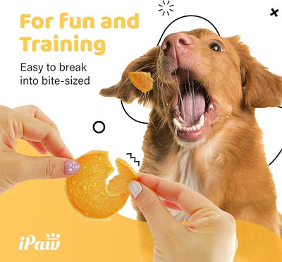 iPaw 2 Saver Combo Chicken Chips Dog Treats for Puppy Training, SQF Certified Human Grade Dog Treat, Hypoallergenic, Easy to Digest (Chicken Chips), 2 Packs