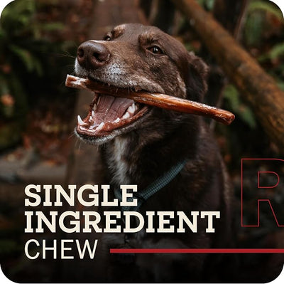 Redbarn Bully Skin Sticks 10-Pack 100% Natural Single-Ingredient Beef Pizzle Dog Chews Long Lasting Rawhide-Free Dental Wellness Treats for Small Medium Large Dogs 8 oz Case