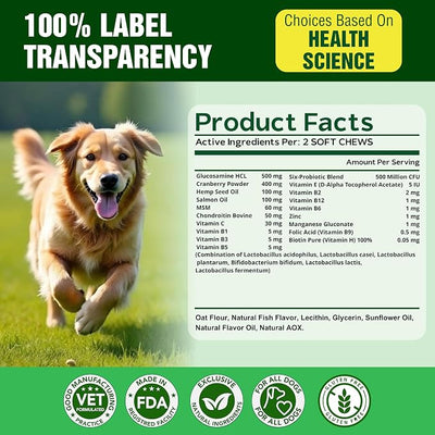 Dog Multivitamin – 15 in 1 Daily Supplement for Dogs with Glucosamine, Probiotics, Omega Fish Oil & Vitamins – Skin Coat, Immunity, Digestion, Hip & Joint Support – Made in USA – 120 Soft Chews