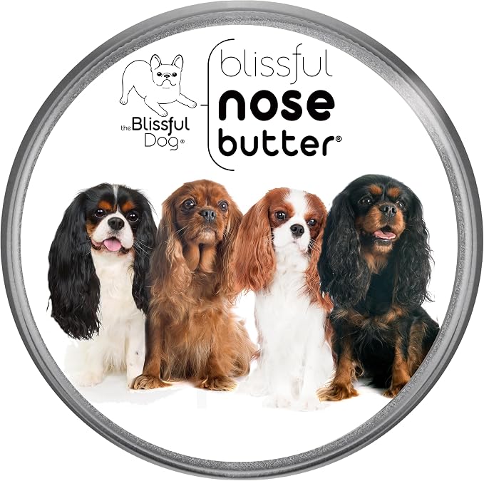 Cavalier King Charles Spaniel Unscented Nose Butter - Dog Nose Butter, 4 Ounce