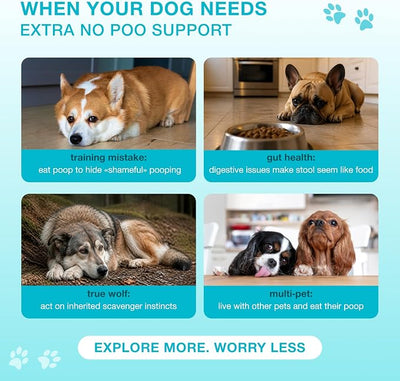 No Poo Chews for Dogs – Stool Eating Deterrent for Dogs with Probiotics & Digestive Enzymes – Coprophagia Deterrent for Dogs, Dog Gut Health Probiotics & Freshen Breath Support – 120 Bites