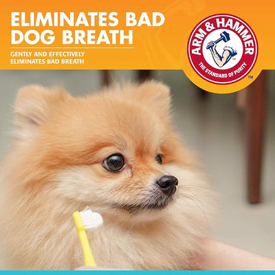Arm & Hammer for Pets Fresh Breath Enzymatic Dog Toothpaste Vanilla Ginger Flavor Baking Soda Dental Gel Eliminates Bad Breath Safe Puppies Adult Dogs 2.5 OZ 72 Pack for Daily At-Home Dental Care