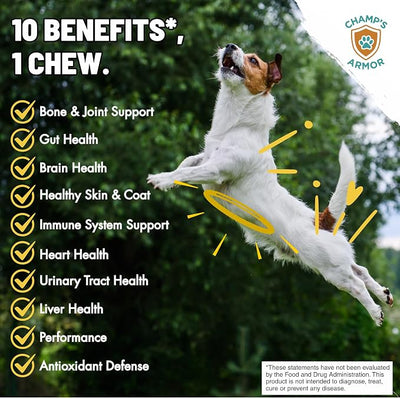 Dog Multivitamin 10-in-1 with Glucosamine - Hip Joint Support, Skin & Coat, Digestive Health, Immune Boost - Salmon Oil, Probiotics, MSM - All Natural Daily Chews for Dogs All Breeds - 120 Count