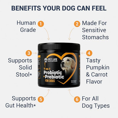 7-in-1 Probiotic + Prebiotic for Dogs. For Digestive Health, Yeast, Itchy Skin, Itchy Ears, Paw Licking. Dog Gut Health Probiotics Supplement 5 Billion CFU Multi-Strain Formula. Daily Powder Topper