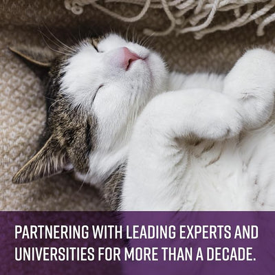 Sentry PET Care Sentry Calming Spray for Cats, Uses Pheromones to Reduce Stress, Easy Spray Application, Helps Cats with Separation, Travel, Loud Noises, and Anxiety, Packaging May Vary