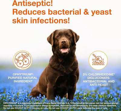 Douxo S3 PYO Medicated Dog Mousse; Bacterial & Yeast Infection Treatment for Dogs – Chlorhexidine Dog Waterless Shampoo, Antibacterial & Antiseptic, for Dogs Only, Clinically Proven, 5 fl oz