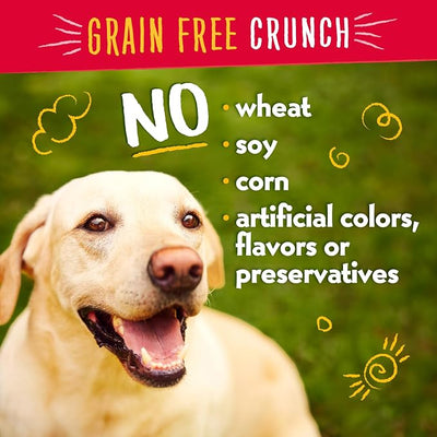 Charlee Bear Crunchy Dog Training Treats, Low Calorie (3 Kcal), Grain Free Natural Mini Dog Treats for Puppies, Small, Medium & Large Dogs, USA Made, Healthy Bacon-Blueberry Flavor 8oz (4-pack)