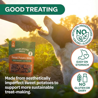 Wholesome Pride Healthy Sweet Potato Bites – Sensitive Stomach Dog Treats, No Preservatives, Single-Ingredient, No Grain, 8 oz