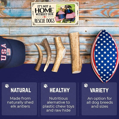 Devil Dog Pet Co. Elk Antlers for Dogs, Natural Dog Chew for Aggressive Chewers - Long Lasting and Odor Free - USA Sourced - Cleaner Teeth, Anxiety & Boredom Relief - Whole Large 6"+ - Antler Bone