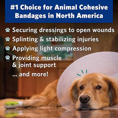 OVIK Health PetFlex Paw Pack – Flexible Self-Adhering Elastic Bandage for Wound Care – First Aid Wrap for Small Animals Like Dogs, Cats, and Other Pets - 2 inch, 36 Rolls