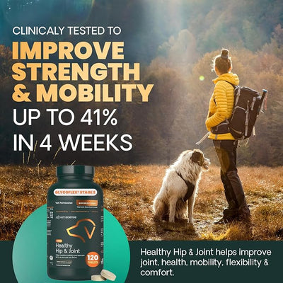 VetriScience Healthy Hip & Joint Chewable Tablets, GlycoFlex2 Glucosamine and Green-Lipped Mussel Joint Support Supplement for Dogs, Promote Mobility and Protect Joints, Chicken, 120 Count