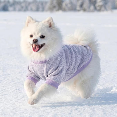1 Pack Dog Sweaters for Small Dogs Girl Boy Winter Fleece Clothes Warm Soft Dog Sweatshirt Outfit for Dogs Cats Pet Apparel