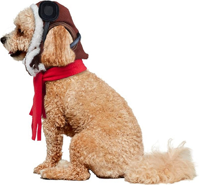 Rubies Aviator Pet Hat & Scarf Set for Dogs or Cats, S/M