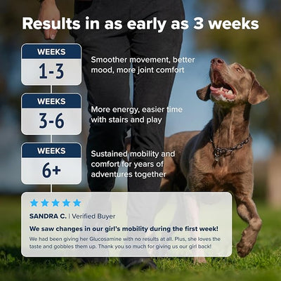 PupFlex+ Hip and Joint Supplement Dogs, Vet Created Soft Chews w/UC-II® Collagen, CurcuVET® & Omega 3 - UC-II Collagen More Effective Than Glucosamine Chondroitin, Dog Joint Supplement (60 ct)