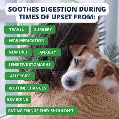 Under the Weather Bland Diet for Dogs | Easy to Digest for Sick Dogs |Always Be Ready| Contains Electrolytes - Natural Freeze Dried 100% Human Grade Meats| 1 Pack- Rice, Hamburger & Sweet Potato - 6oz