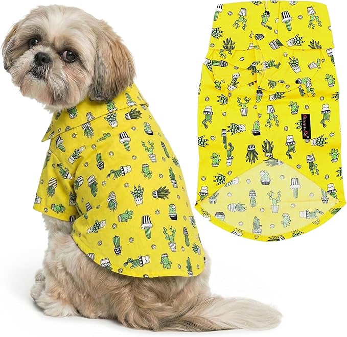 Cactus Dog Shirt - Cotton Clothes for Medium Dogs - Stylish Tropical Yellow Dog Outfit - Lightweight and Soft Puppy Clothes - Trendy Tshirts for Dogs - Comfortable Summer Camp Pet Apparel