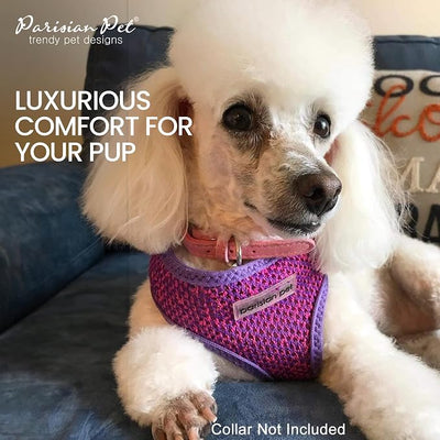 Parisian Pet Girl Dog Harness - Breathable Mesh Purple Pink No Pull Puppy Harness with Leash Ring - Adjustable Harnesses for Dogs - Soft Step-in Pet Vest - Lightweight Dog Vests for Small Sized Dogs