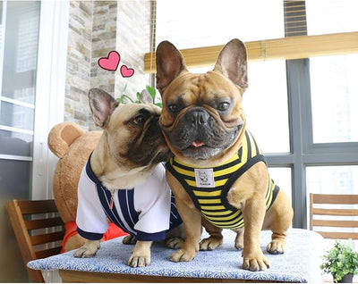 iChoue Pug 100% Breathable Cotton Striped T Shirts Halloween Vest Clothes for Medium Dogs Tank Tops Puppy French Bulldog Frenchie English Boston Terrier Pitbull Yellow Black Stripes - Small