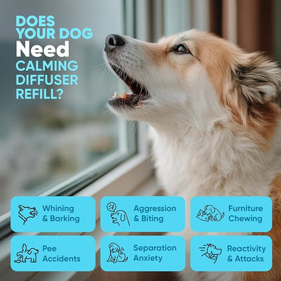 STUNICK CB1 Dog Calming Diffuser, Calming Pheromones, 60 Day Supply, 4 Diffuser and 8 Refills, Helps Reduce Stress, Separation, Pee Accidents, Barking, & Destructive Behaviors
