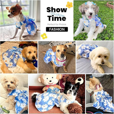 ABRRLO Cute Dog Dress Small Dog Clothes for Girls Female Puppy Outfits Blue Daisy Pet Summer Clothes Bowknot Doggy Cat Princess Dress Harness Set for Holiday Birthday Party Costume Clothing (Blue,XL)