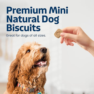 Blue Buffalo Mini Health Bars Apples & Yogurt Crunchy Dog Biscuits, Bite-Sized for Training, Oven-Baked with Real Apples & Natural Ingredients, Healthy Dog Treats, 16 oz.