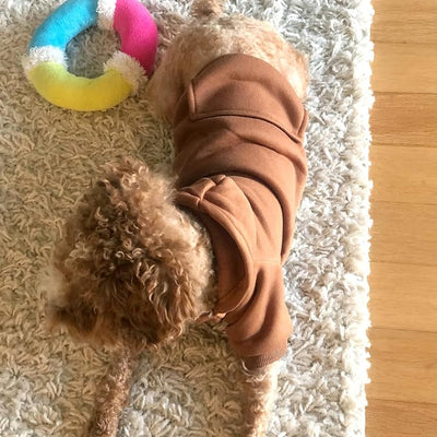 Jecikelon Soft Dog Hoodies for Small Dogs, Fleece Puppy Sweatshirt with Pockets, Warm Winter Cold Weather Coats for Pet Cat, Cute Clothes Puppy Costume (Coffee, XX-Small)