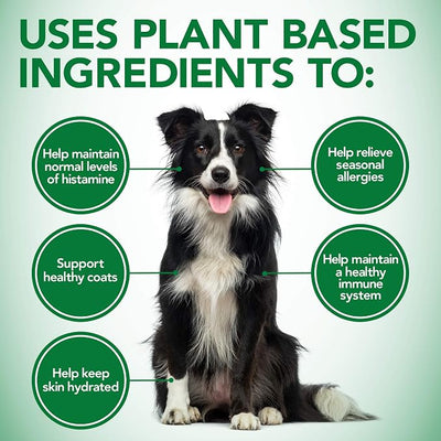 Vet's Best Healthy Coat Shed & Itch Relief for Dogs, Relieve Dogs Skin Irritation and Shedding Due to Seasonal Allergies or Dermatitis, 150 Chewable Tablets