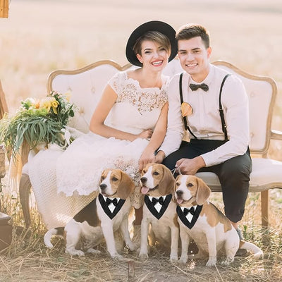 ADOGGYGO Formal Dog Tuxedo, Wedding Puppy Bandana Collar with Bowtie, Adjustable Puppy Birthday Wedding Tux Outfit for Extra Small Dogs Cats (XS, Black)