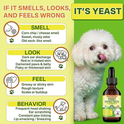 puyrzoe Natural Yeast Infection Treatment for Dogs, Itchy Ears, Skin, Paws & Allergy Relief, Yeast Treatment for Dogs, Supports Gut & Immune Health, Reduces Itching, Irritation & Inflammation, 120ml
