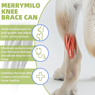 Dog Hip Brace, Knee & Leg Support Brace for ACL Recovery, Ligament Injury - Breathable & Adjustable Dog Leg Brace for Senior Dogs, Post-Surgery Rehabilitation & Mobility Aid(Size S)