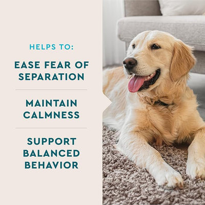 VetIQ Calming Support Dog Anxiety Relief Chews 90 Count, Veterinarian Recommended Stress Management and Behavioral Health Supplement for Dogs with Relaxation Support Made in USA