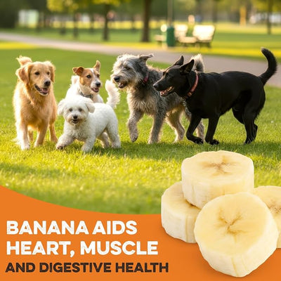 USA Sweet Potato Dog Treats - Grain Free, Peanut Butter Crunchy Sticks are Great Tasting, Promote Positive Dog Gut Health with Natural Anti-Diarrhea Properties, no Preservatives Added