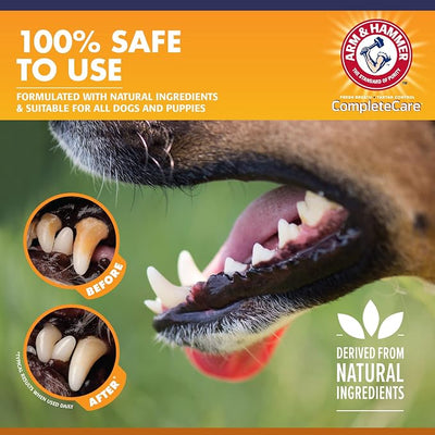 Arm & Hammer Complete Care Enzymatic Puppy Toothpaste, Peanut Butter Flavor, Enzymatic Dog Toothpaste for Puppies, Baking Soda + Calcium Formula, 6.2oz - 48 Pack