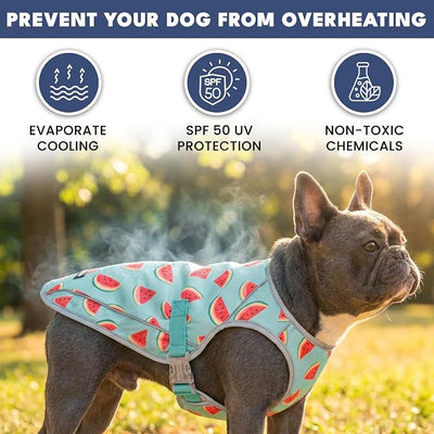 Spark Paws Dog Cooling Vest - SPF 50 UV Sun Protection - Summer Heat Relief Gear for Dogs, Lightweight, Evaporative Cooling - Dog Anxiety Relief Vest During Hot Days - Watermelon - Size M