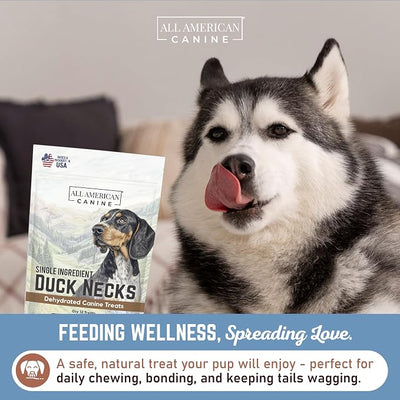 All American Canine 12 Natural Duck Neck Dog Treats – Single Ingredient, Dehydrated & Chewy – Low-Fat, High-Protein Training Reward – Made in USA