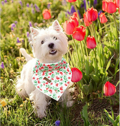 Lionheart glory Floral Dog Bandana Spring Summer Dog Bandana 1 Pack Washable Soft Dog Scarf, Square Adjustable Dog Bandanas for Small Dogs, Red Roses