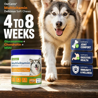 Dog Multivitamin Soft Chews — Glucosamine, Probiotics & Omega 3 for Hip & Joint Support, Skin & Coat, Immune & Digestive Health — Senior Dog Vitamins for All Breeds, Chicken Flavor, 15 Count