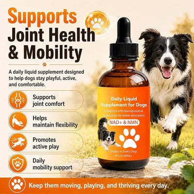 Dog Longevity Supplement with NMN, NAD+, CoQ10 & Resveratrol | Supports Joint Health, Vitality & Healthy Aging – 60-Day Nanoliposomal Drops for Better Absorption