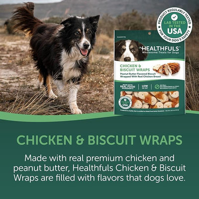 HEALTHFULS Chicken & Peanut Butter Flavored Dog Biscuits,16oz,(Pack of 2)