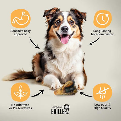 Grillerz Pork Knee Bone, 1 Count, Pork Bones for Dogs, Rawhide Free, Dog Chew for Healthy Teeth & Gums, High Protein, Easy to Digest, Long Lasting, Natural Treats for All Breeds
