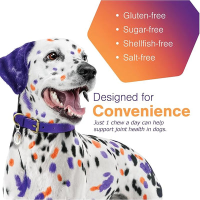 MOVOFLEX Soft Chews Hip and Joint Support Supplement for Medium Dogs - 60 Count By Virbac