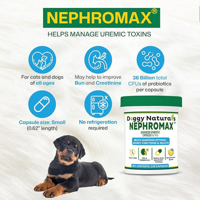 NEPHROMAX™ Synbiotic Capsules for Kidney Support for Dogs & Cats - 36 Billion CFU-Advanced Next-Generation Enteric detoxifying Blend of Pre & Probiotics Kidney Support U.S.A (120 Small Capsules)