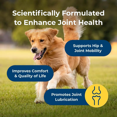 PetAg Dyne Soft Chews Sample, Joint Health & Mobility Supplement - Vet-Formulated for Dogs - with UC-II® Collagen - Up to 4X More Effective Than Glucosamine/Chondroitin - 3 Chicken Liver Flavor Chews