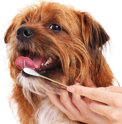 Egaageoi 100 Pcs 6 Inch Large Cotton Swabs for Dog Ear with Bamboo Handle | for Pet Owners, Groomers, Vet, Outdoor Care, After Swimming, Daily use, with Soft Cotton Tips, Safe Reach for Wax Removal