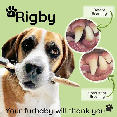 Dog Toothbrush- 10,000 Ultra-Soft Bristles for Sensitive Pet Teeth & Gums- Natural Bamboo Toothbrush for Comfortable, Gentle Deep Cleaning