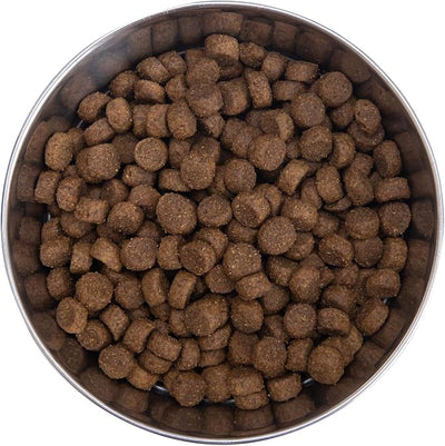 Health Extension Grain Free Chicken & Turkey Dry Dog Food - 30+ Superfoods and Probiotics for All Life Stages (1lb)